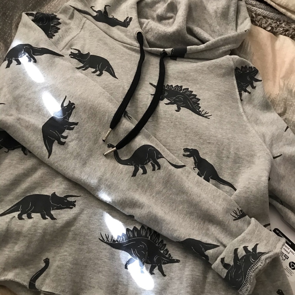 dinosaur cropped hoodie